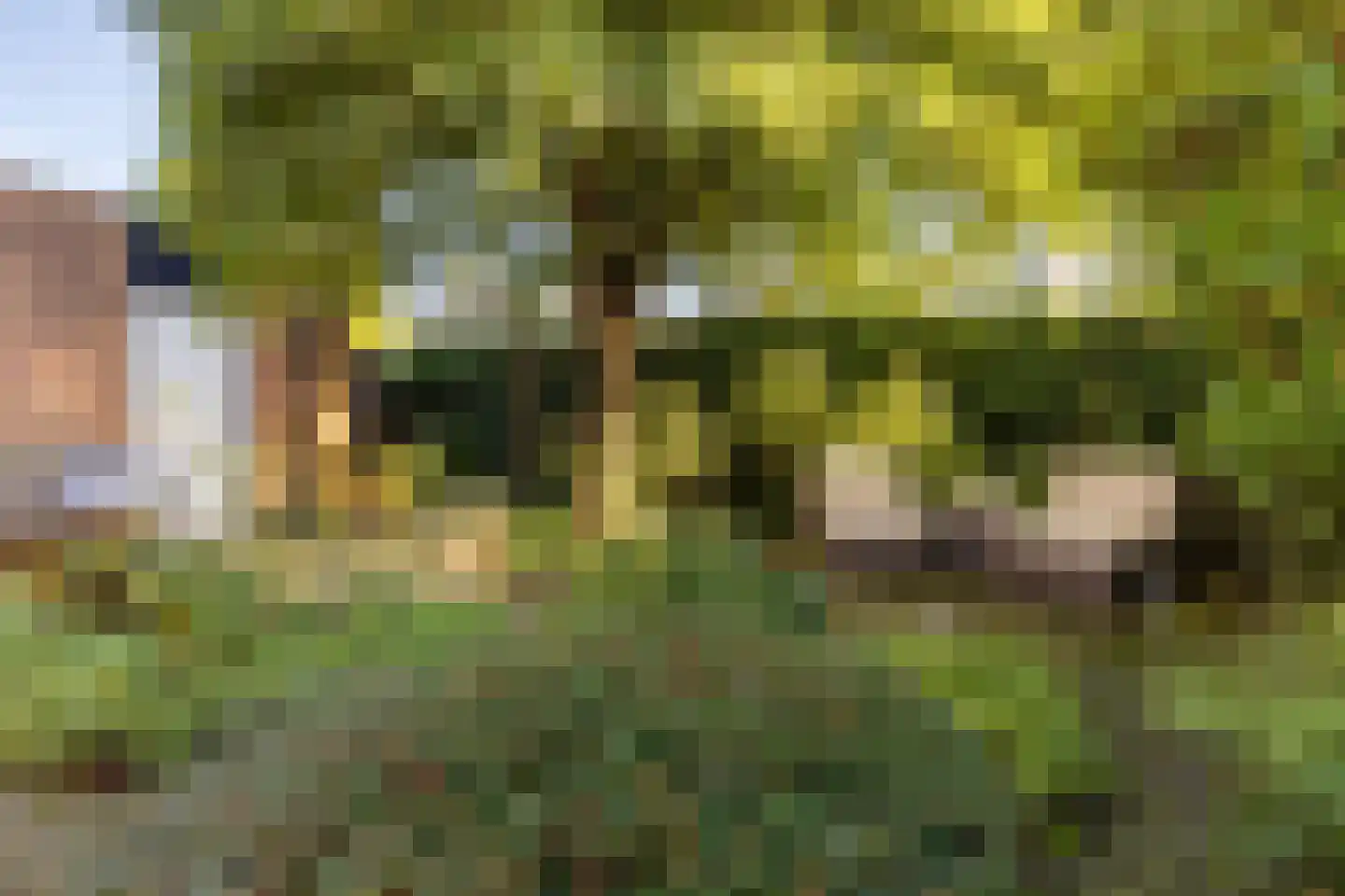 Beuckemaborg 16 Groningen thumbnail 33
