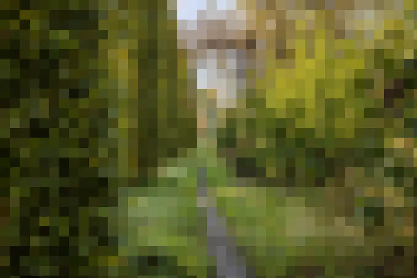 Beuckemaborg 16 Groningen thumbnail 37