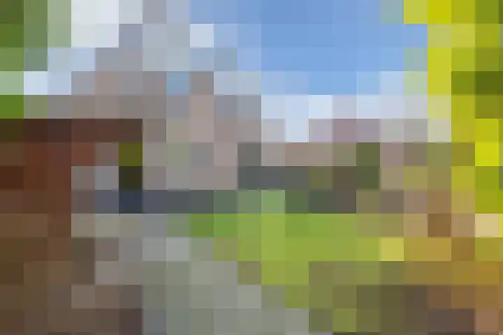 Beugel 27 Drachten thumbnail 33