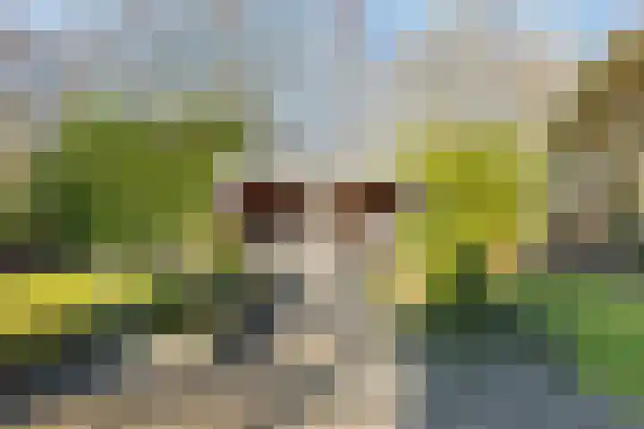 Beugel 27 Drachten thumbnail 35