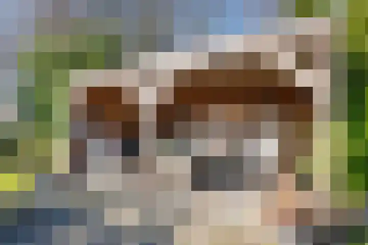 Beugel 27 Drachten thumbnail 36