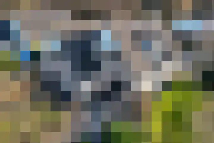Beugel 27 Drachten thumbnail 45