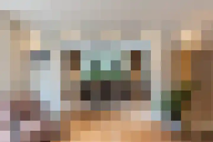 Beugelaar 19 Sliedrecht thumbnail 12