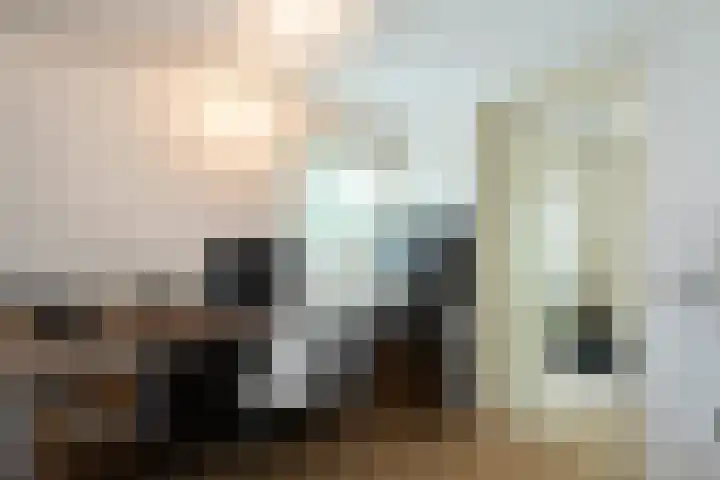 Beugelaar 19 Sliedrecht thumbnail 17
