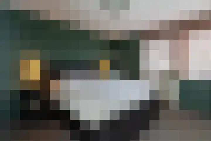 Beugelaar 19 Sliedrecht thumbnail 19