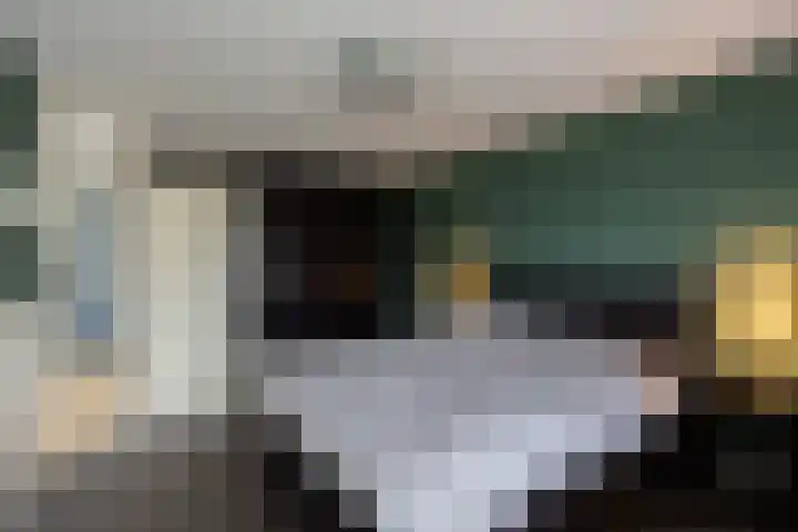 Beugelaar 19 Sliedrecht thumbnail 20