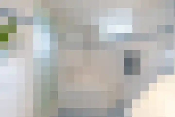 Beugelaar 19 Sliedrecht thumbnail 23