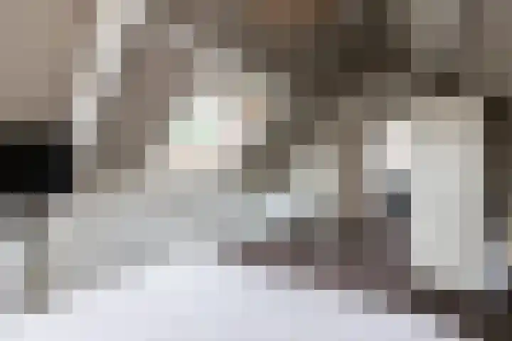 Beugelaar 19 Sliedrecht thumbnail 29
