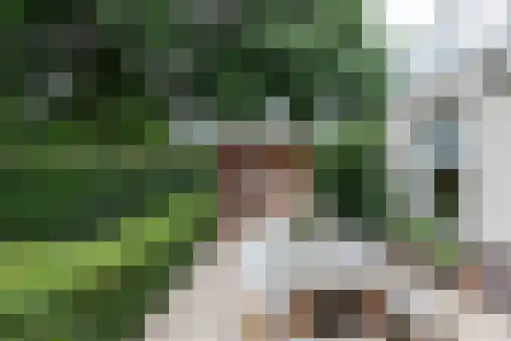 Beugelaar 19 Sliedrecht thumbnail 30