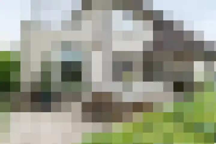Beugelaar 19 Sliedrecht thumbnail 31