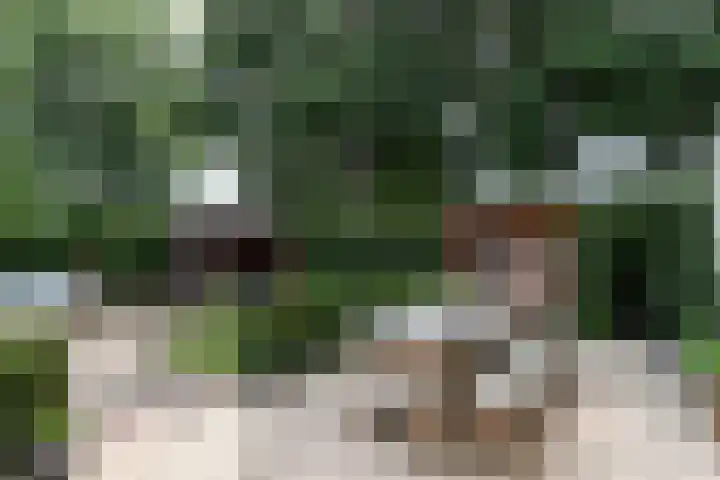 Beugelaar 19 Sliedrecht thumbnail 4