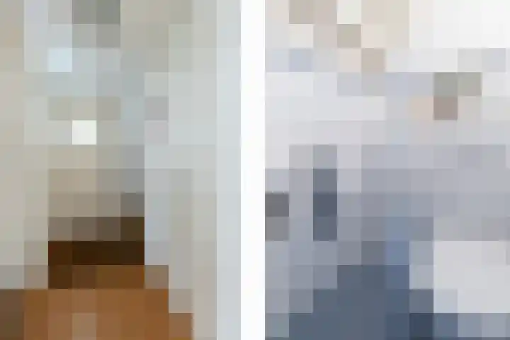 Beugelaar 19 Sliedrecht thumbnail 7