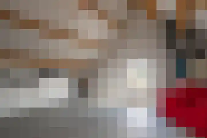 Beugelruwe 18 Maastricht thumbnail 14