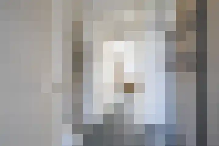 Beugelruwe 18 Maastricht thumbnail 7