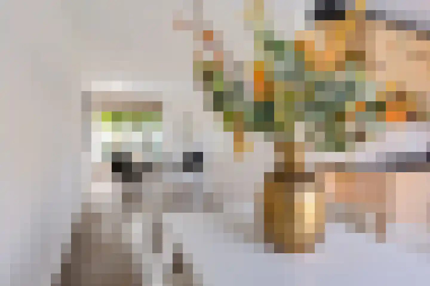 Beugelstraat 8 Valkenswaard thumbnail 8