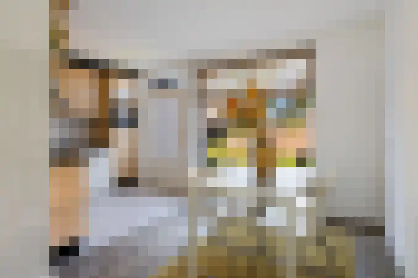 Beugelstraat 8 Valkenswaard thumbnail 9
