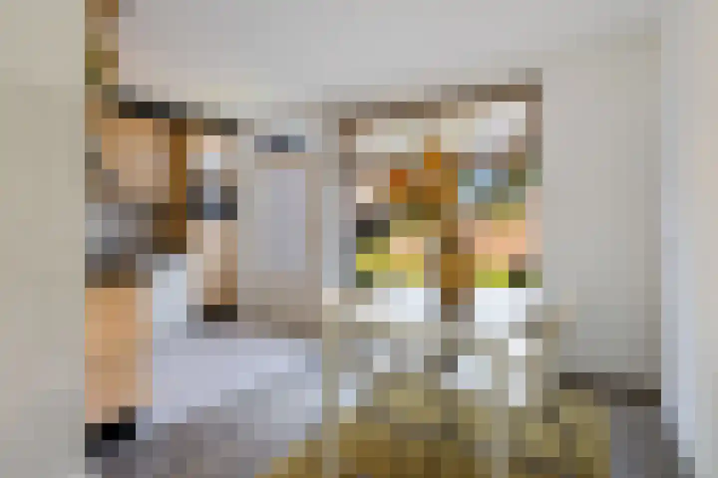 Beugelstraat 8 Valkenswaard thumbnail 9