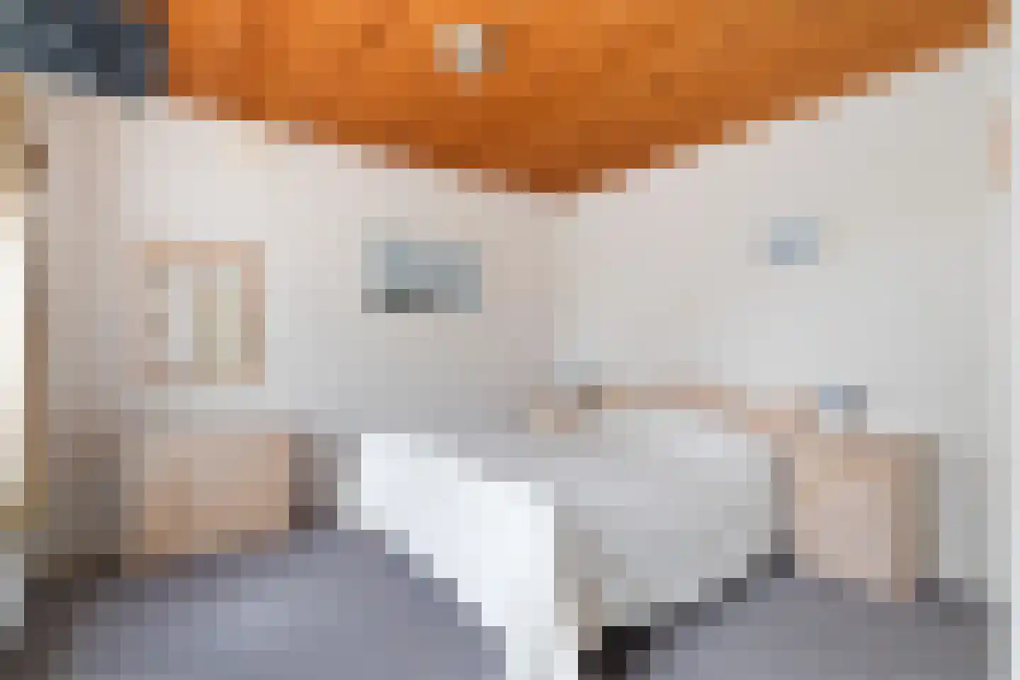 Beugenseweg 12 Oeffelt thumbnail 12