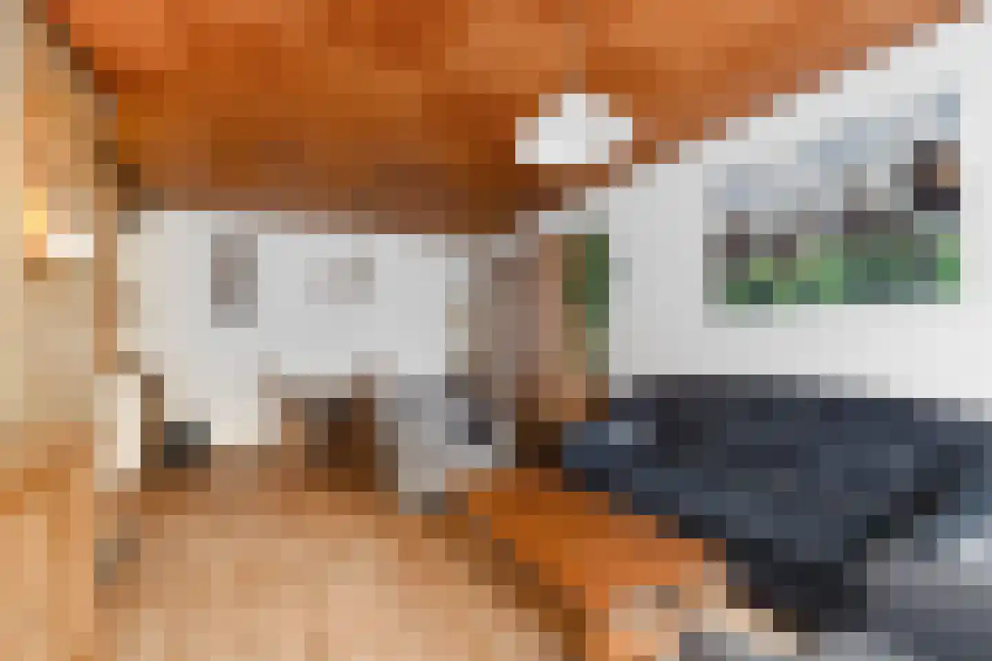Beugenseweg 12 Oeffelt thumbnail 7