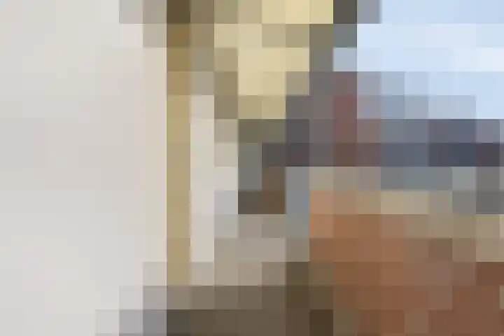 Beugenseweg 2 k Boxmeer thumbnail 11