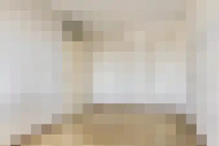 Beugenseweg 2 L Boxmeer thumbnail 21