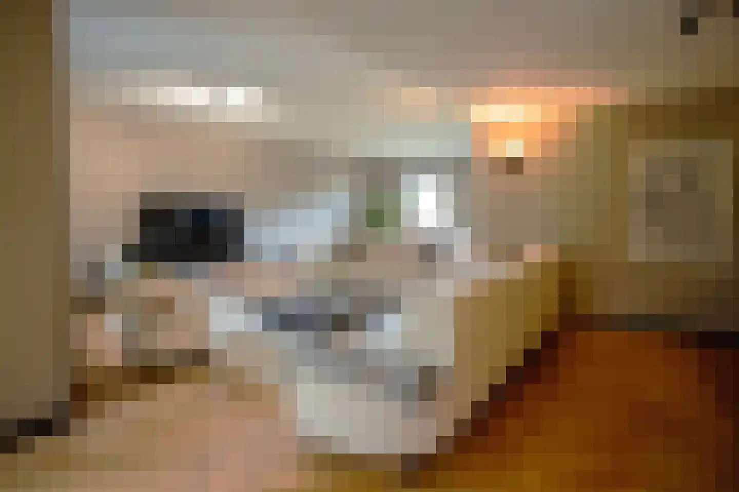 Beugenseweg 43 Boxmeer thumbnail 12