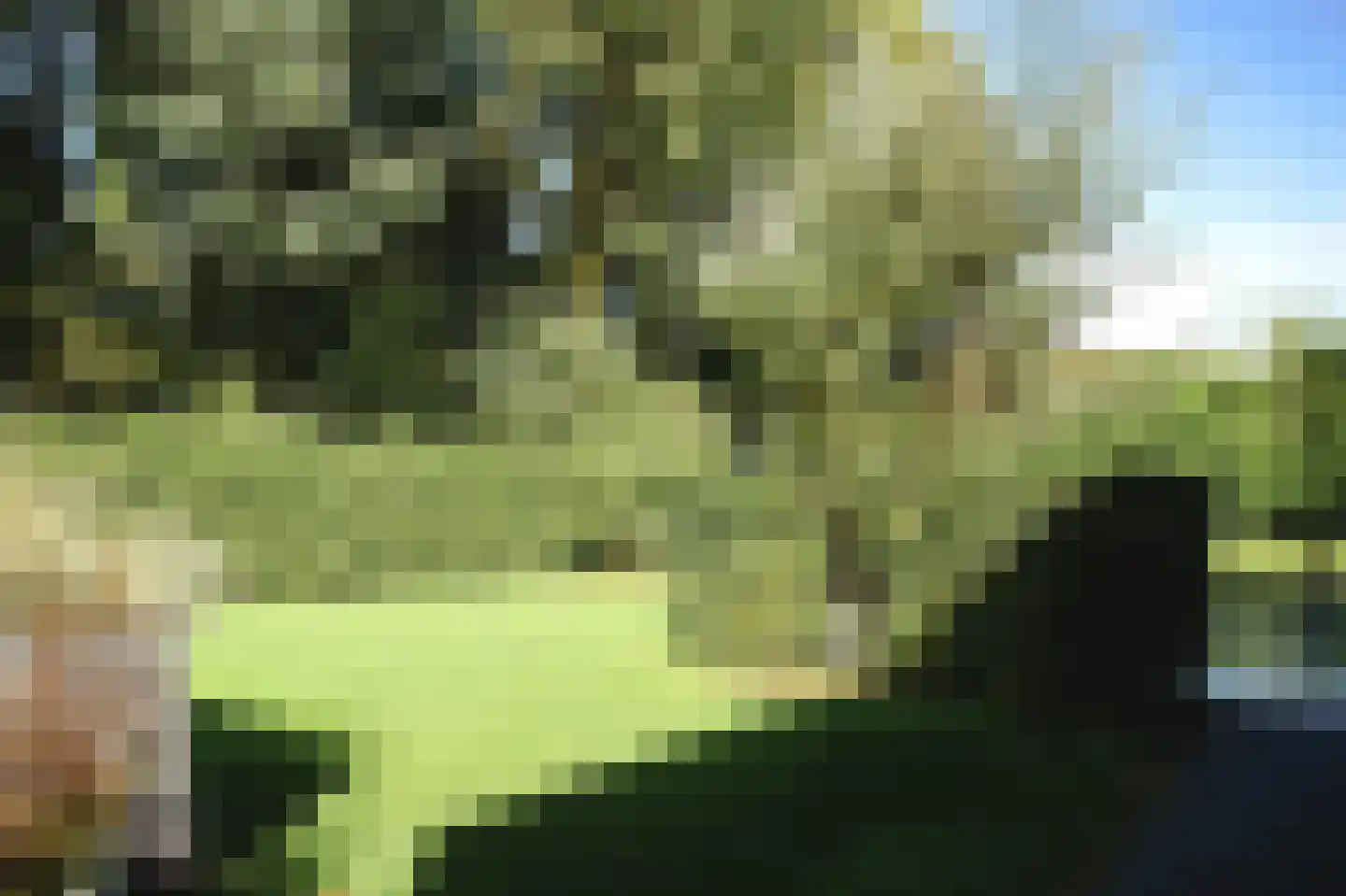 Beugenseweg 43 Boxmeer thumbnail 28