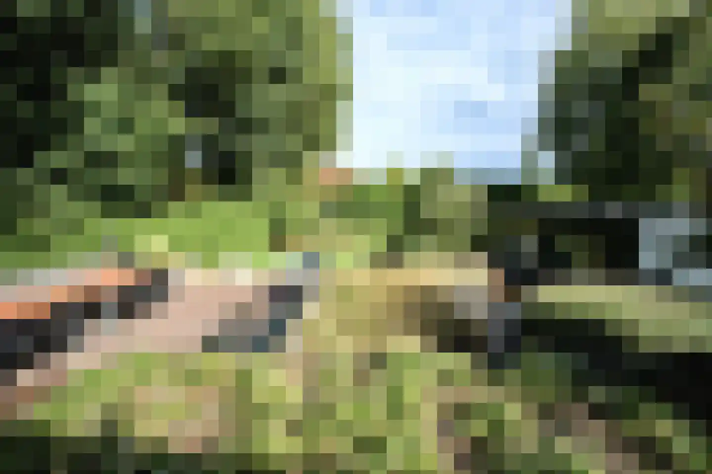 Beugenseweg 43 Boxmeer thumbnail 29