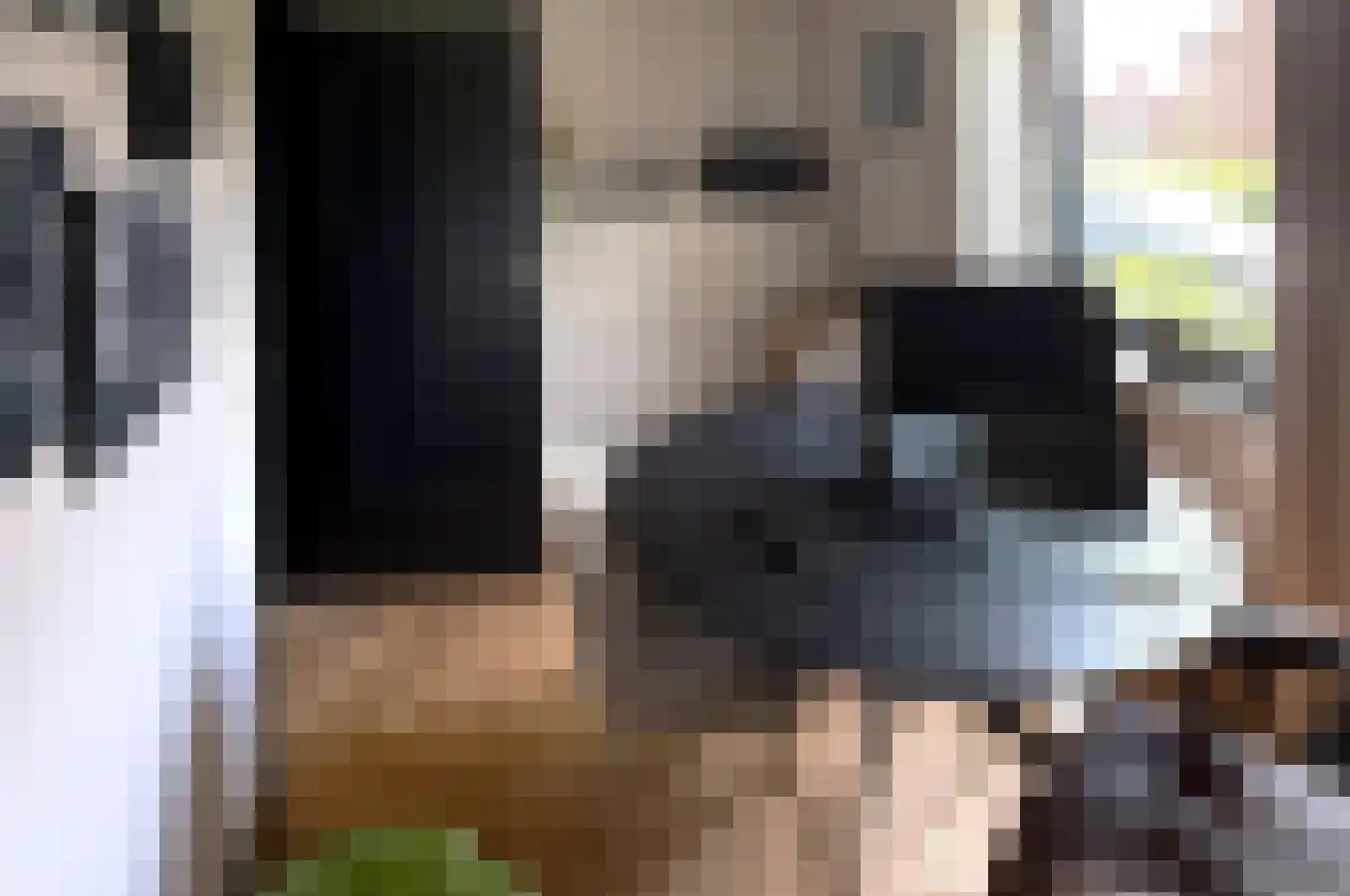 Beugenseweg 43 Boxmeer thumbnail 68
