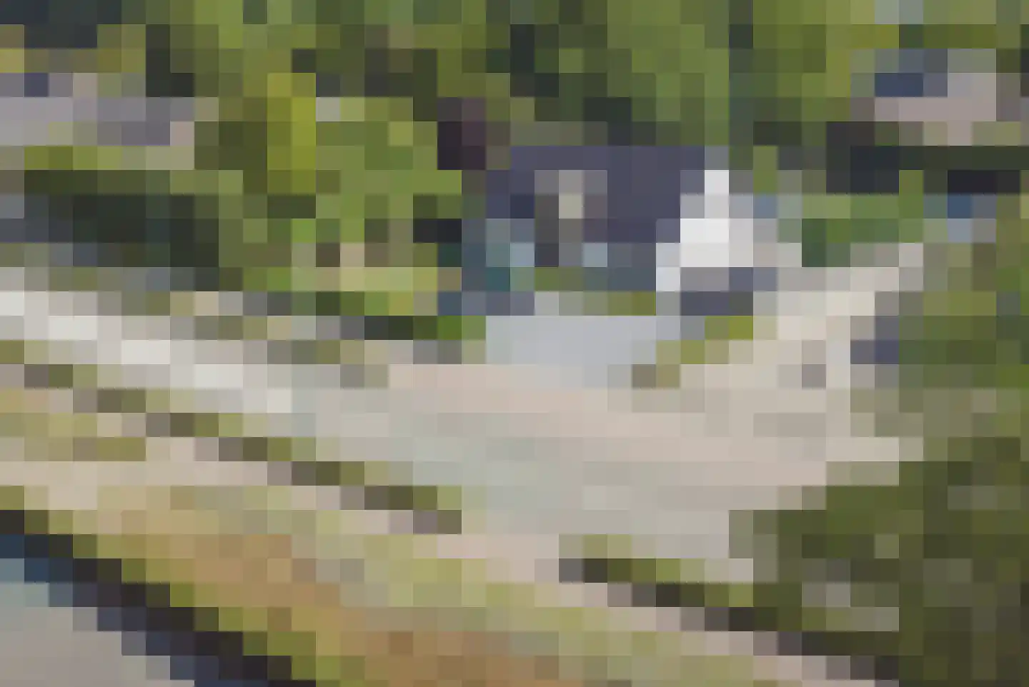 Beugenseweg 43 Boxmeer thumbnail 71