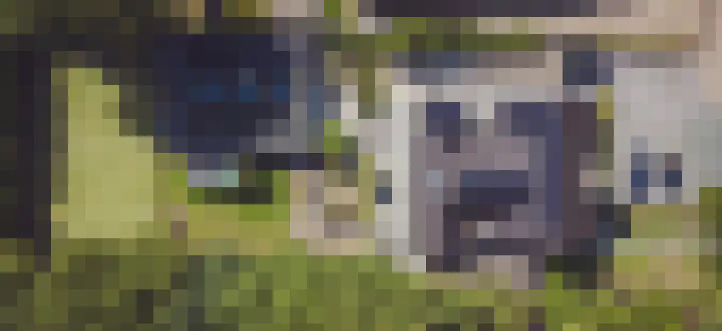 Beugenseweg 43 Boxmeer thumbnail 73