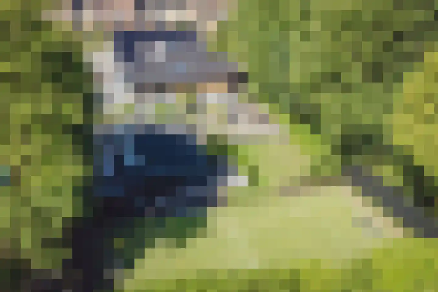 Beugenseweg 43 Boxmeer thumbnail 75