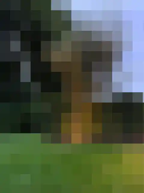 Beugenseweg 43 Boxmeer thumbnail 80