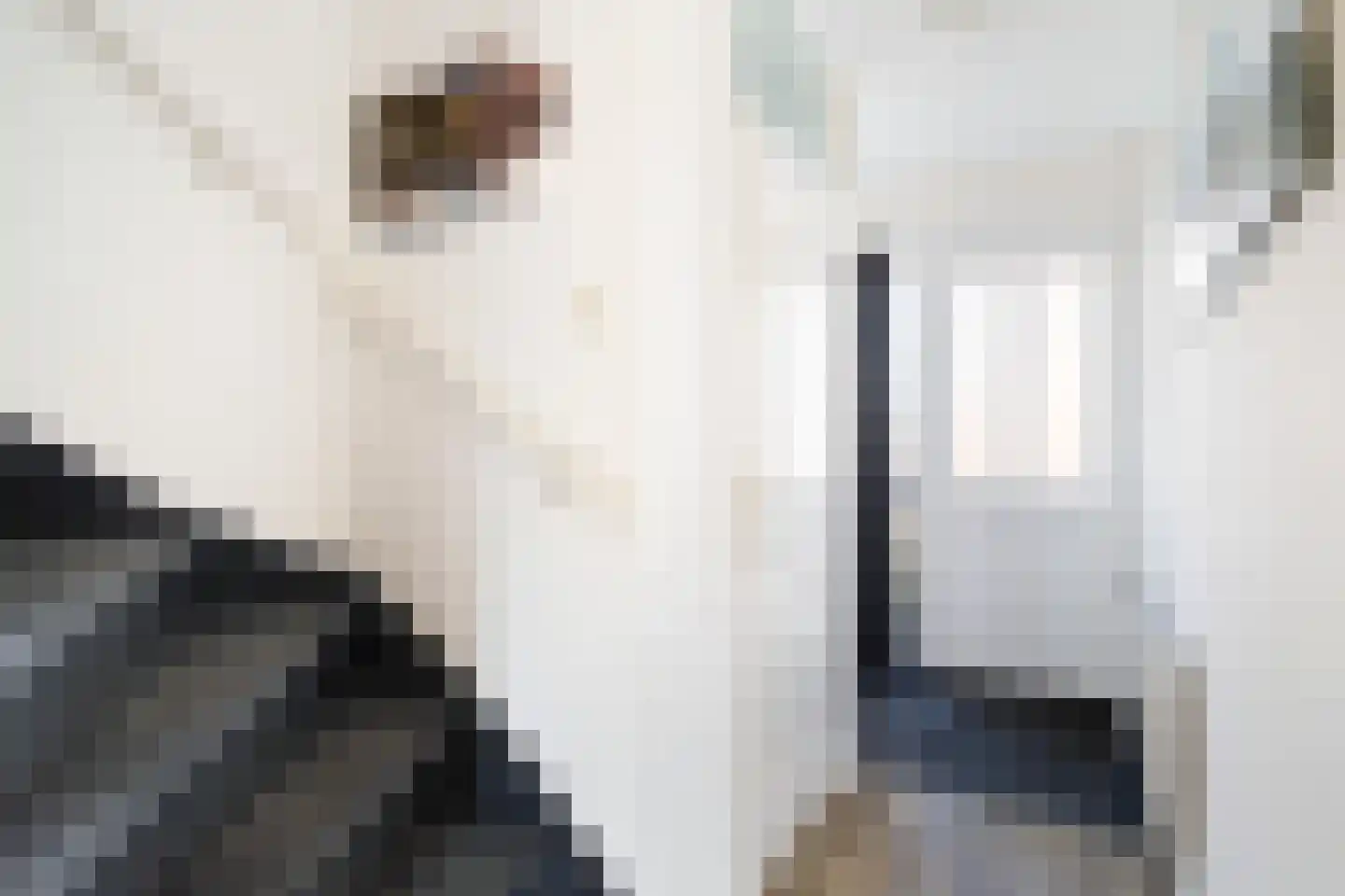 Beuger 3 Woerden thumbnail 4