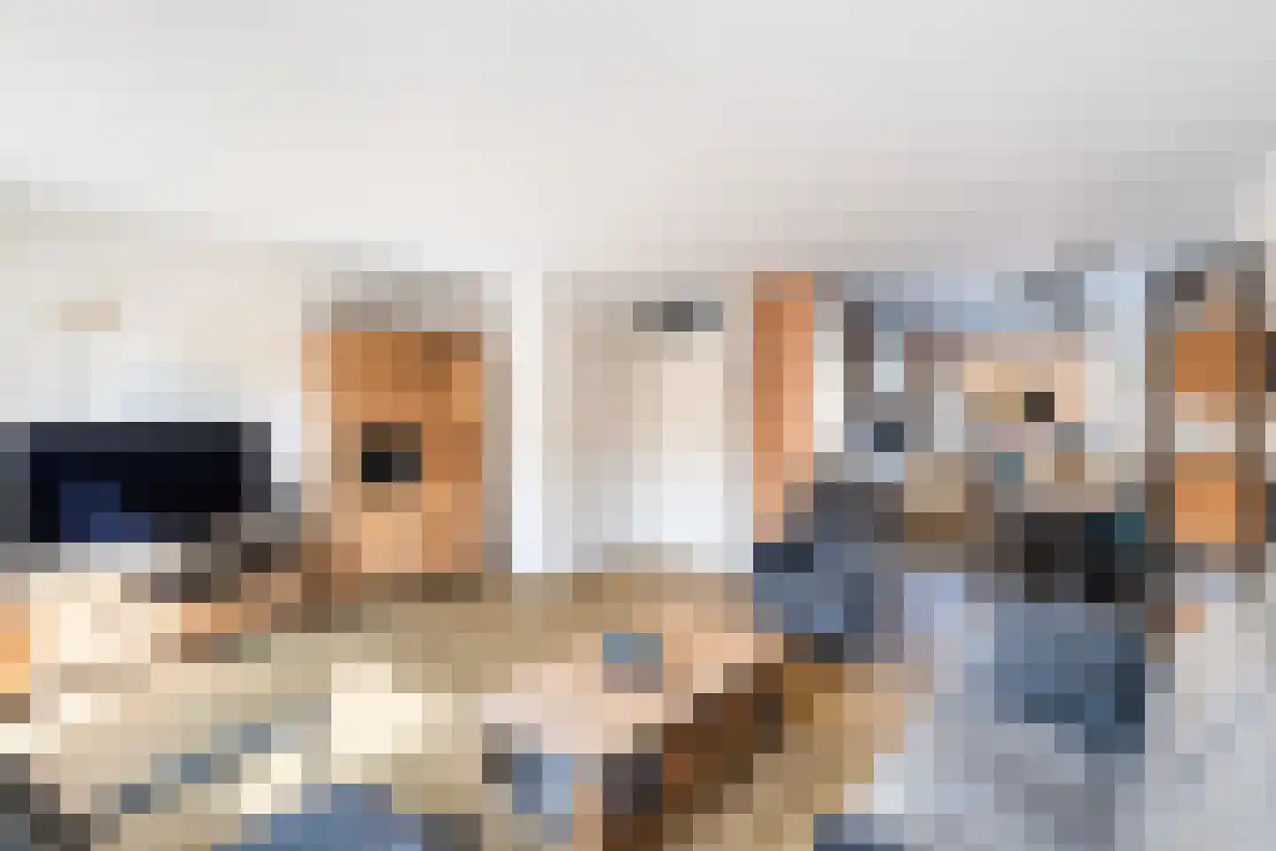 Beuger 3 Woerden thumbnail 8