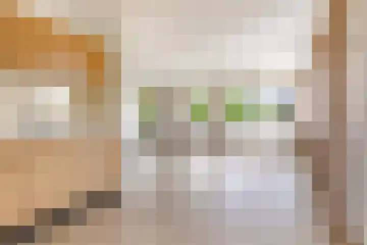 Beughof 3 Odijk thumbnail 22