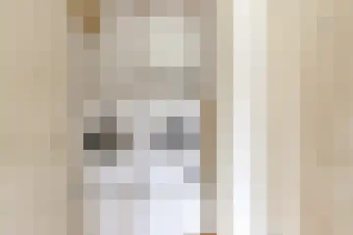 Beughof 3 Odijk thumbnail 23