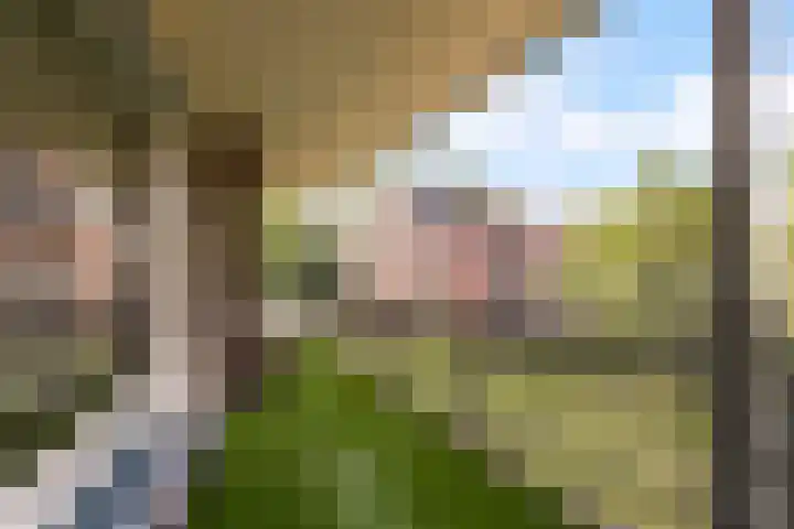 Beughof 3 Odijk thumbnail 31