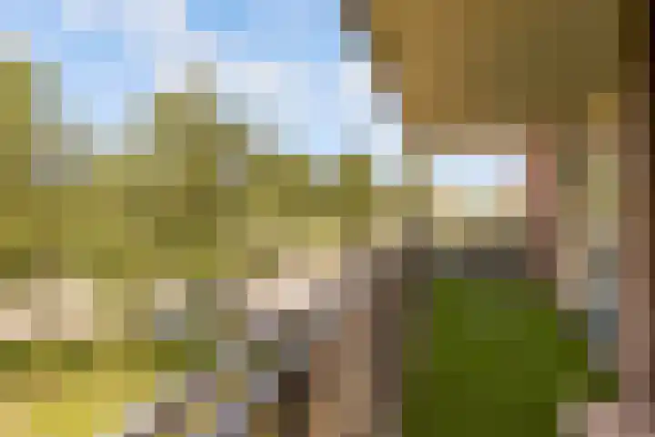 Beughof 3 Odijk thumbnail 33