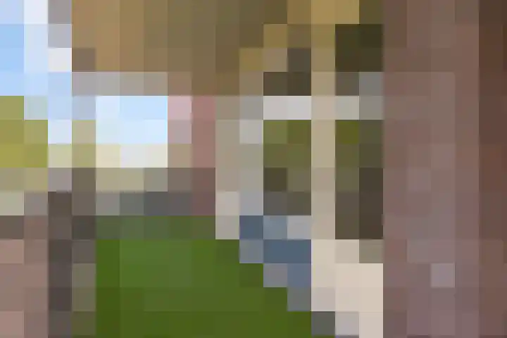 Beughof 3 Odijk thumbnail 34