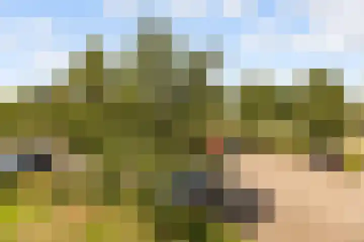 Beughof 3 Odijk thumbnail 35