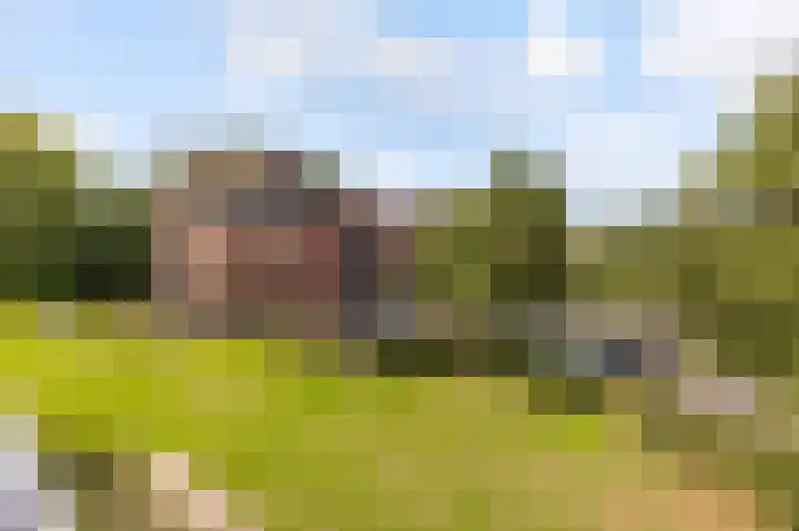 Beughof 3 Odijk thumbnail 36