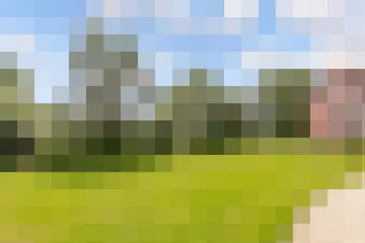 Beughof 3 Odijk thumbnail 39