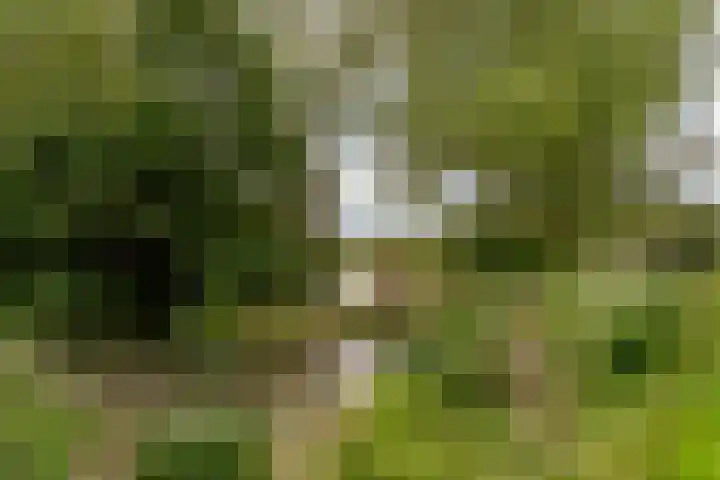 Beughof 3 Odijk thumbnail 40