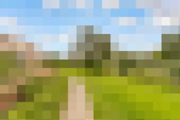 Beughof 3 Odijk thumbnail 41