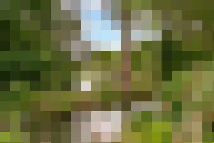 Beughof 3 Odijk thumbnail 42