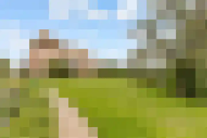 Beughof 3 Odijk thumbnail 43