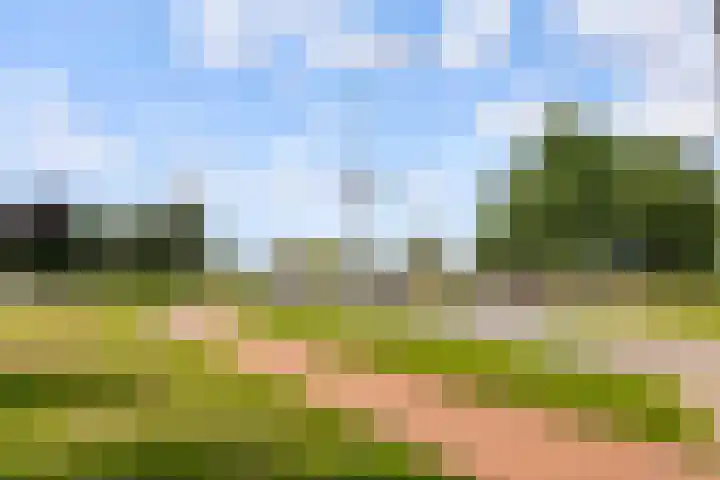 Beughof 3 Odijk thumbnail 44
