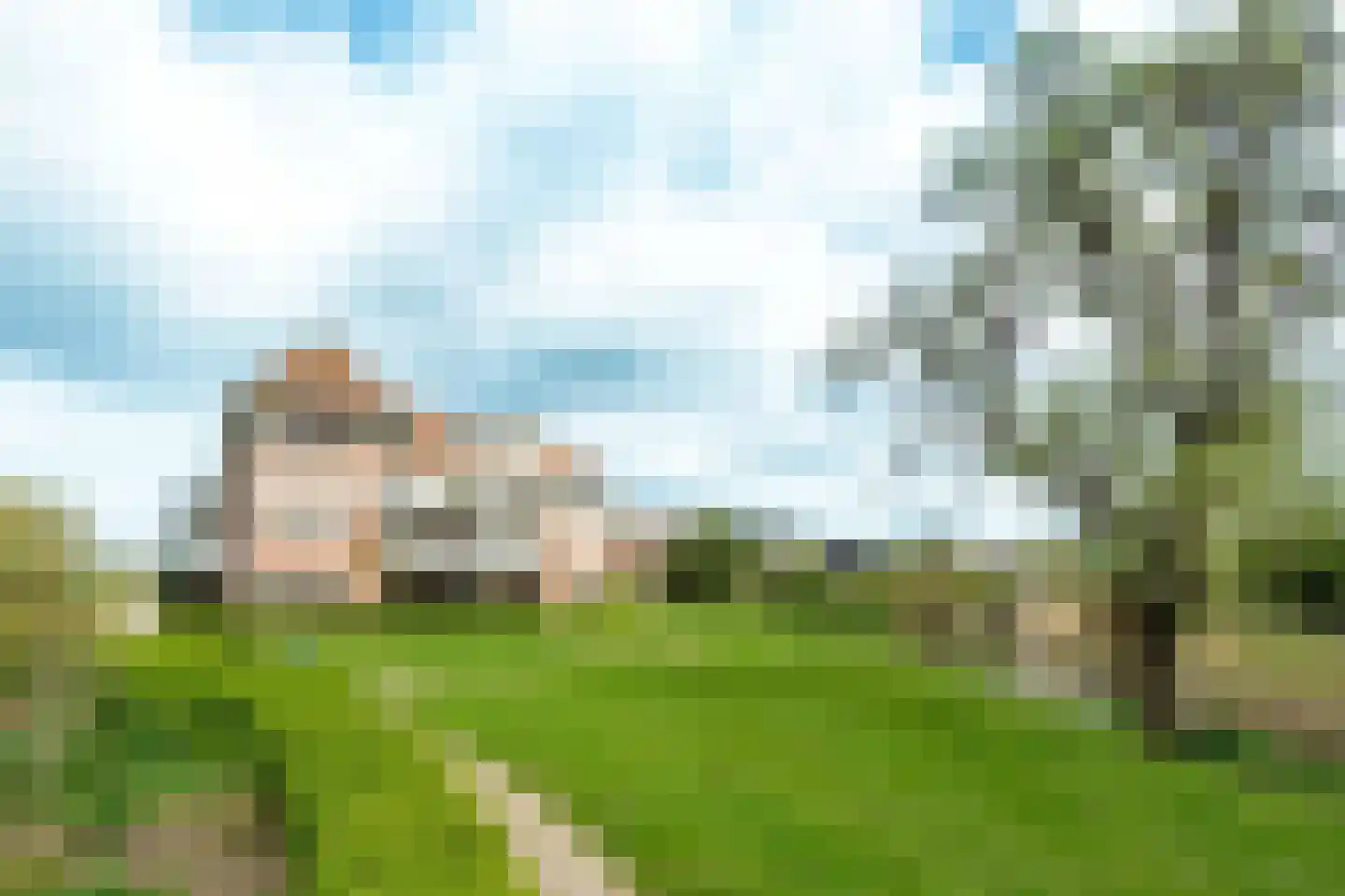 Beughof 9 Odijk thumbnail 18