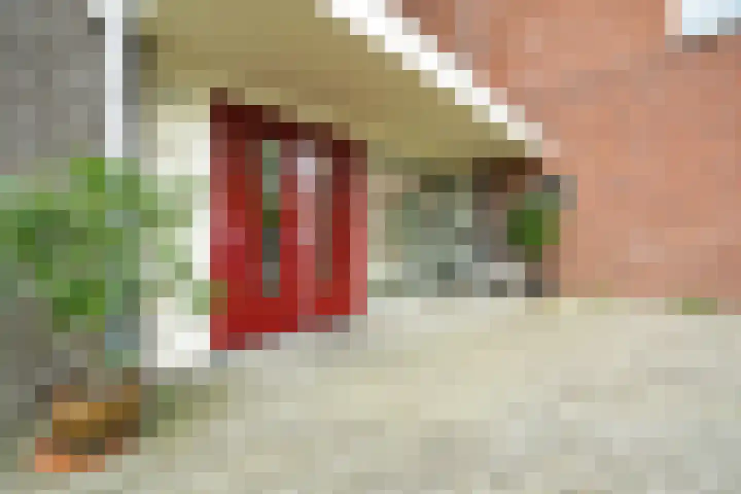 Beughof 9 Odijk thumbnail 23